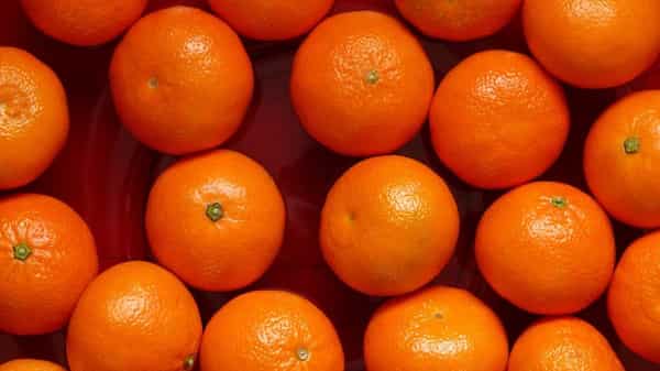 تصویر 4 از قیمت خرید پرتقال تامسون عمده با فروش عمده